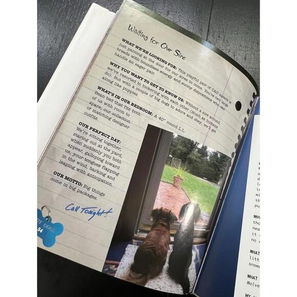 Hot Dogs: Single Dogs Seeking Same, Noyes, Nicholas - Picture 2 of 7